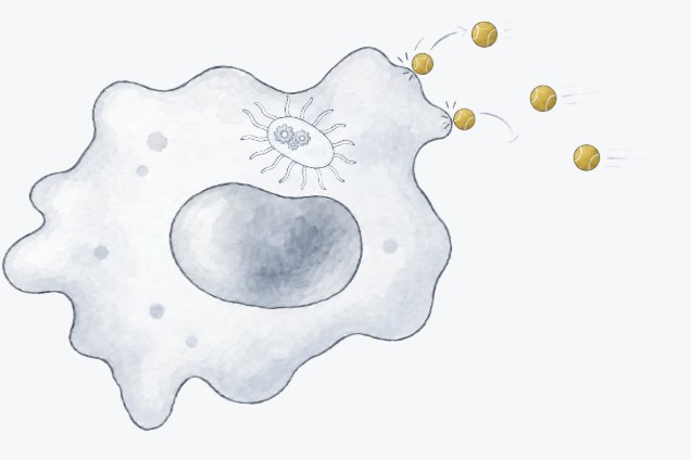 A bacterium sheltering inside a host cell while antibiotics bounce off the membrane