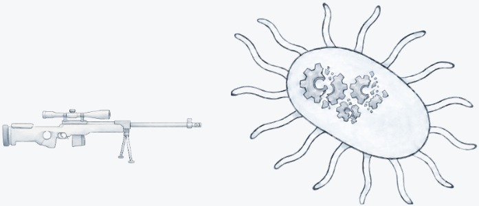 Panel 2: The immune system specifically targets pathogens and damages their internal machinery